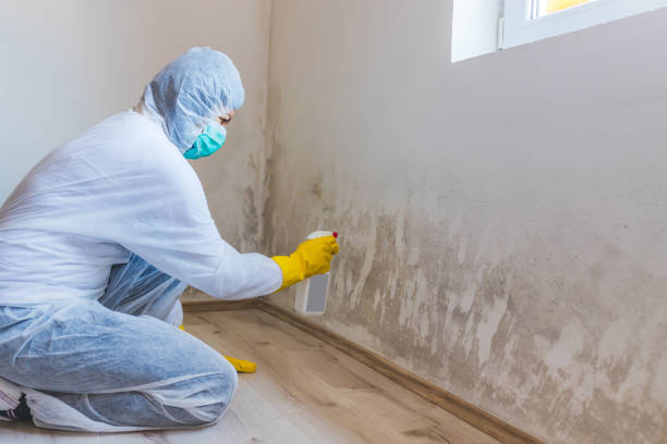 Hvac And Air Duct Mold Remediation inspection of HVAC system in Allport